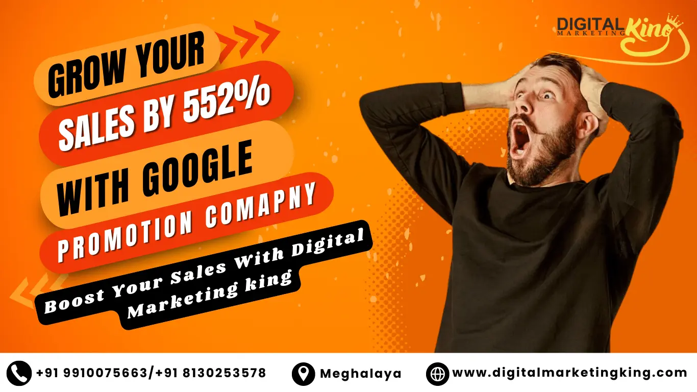 Google Promotion Company in Meghalaya