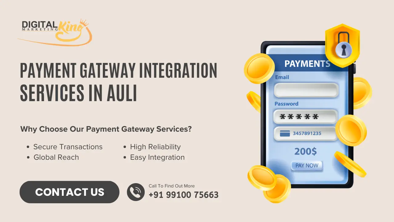 Payment Gateway Integration Service in Auli