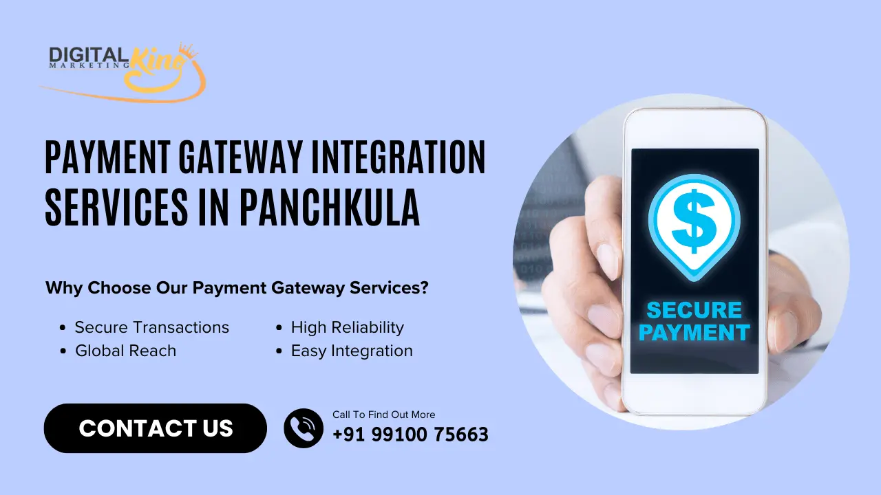 Payment Gateway Integration Service in Panchkula